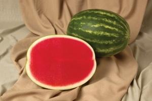 Watermelon, Fascination (Seedless)