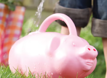 Novelty Pig Watering Can