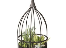 Panacea Bird Cage Succulent Planter