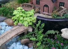 Broken Pot Fairy Garden