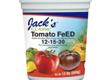 Jacks Tomato Feed