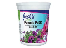 Jacks Petunia 