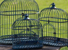 Zaer Bird Cage 1